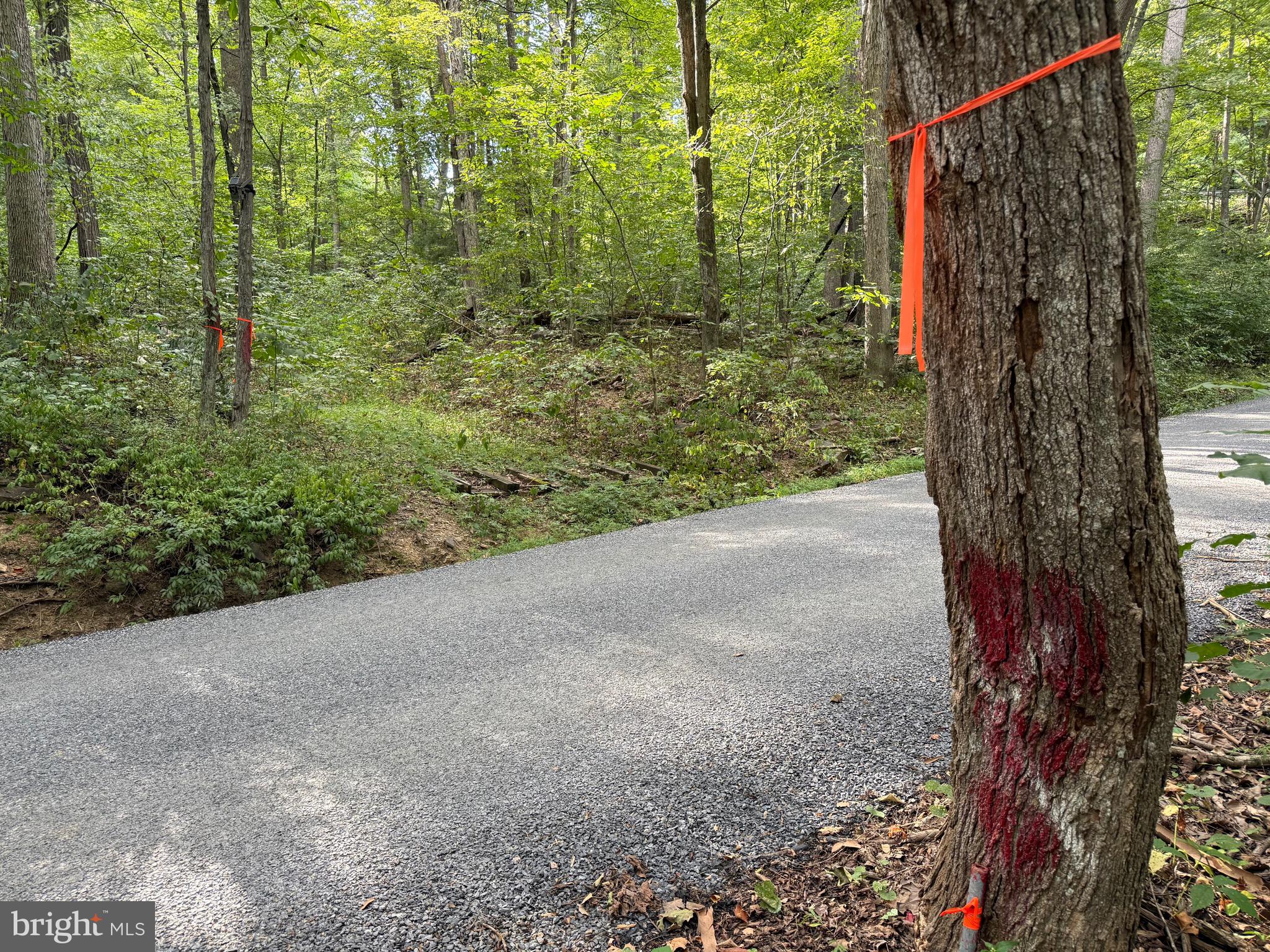 Quaint Acres Lane Berkeley Springs, WV 25411 - Photo 8 of 61 a view of a yard with a trees