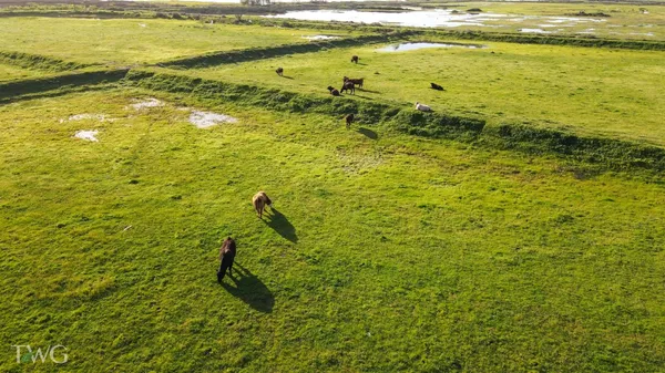 $950,000 | 5614 Moffatt Road, Gustine, CA 95322