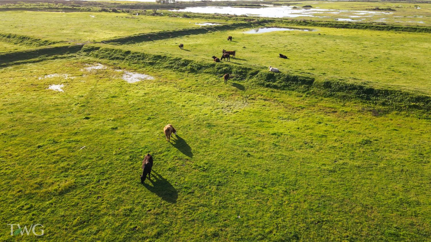 5614 Moffatt Road Gustine, CA 95322 - Photo 4 of 11