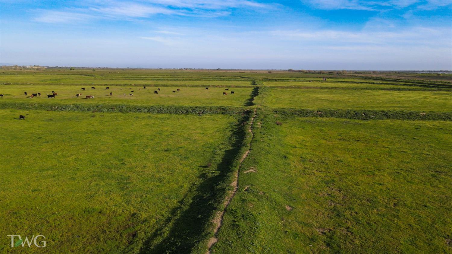 5614 Moffatt Road Gustine, CA 95322 - Photo 5 of 11