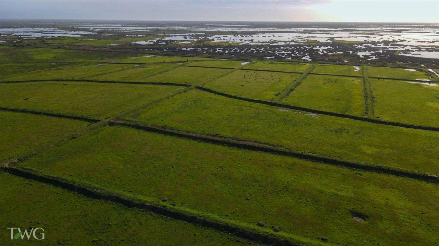 5614 Moffatt Road Gustine, CA 95322 - Photo 10 of 11