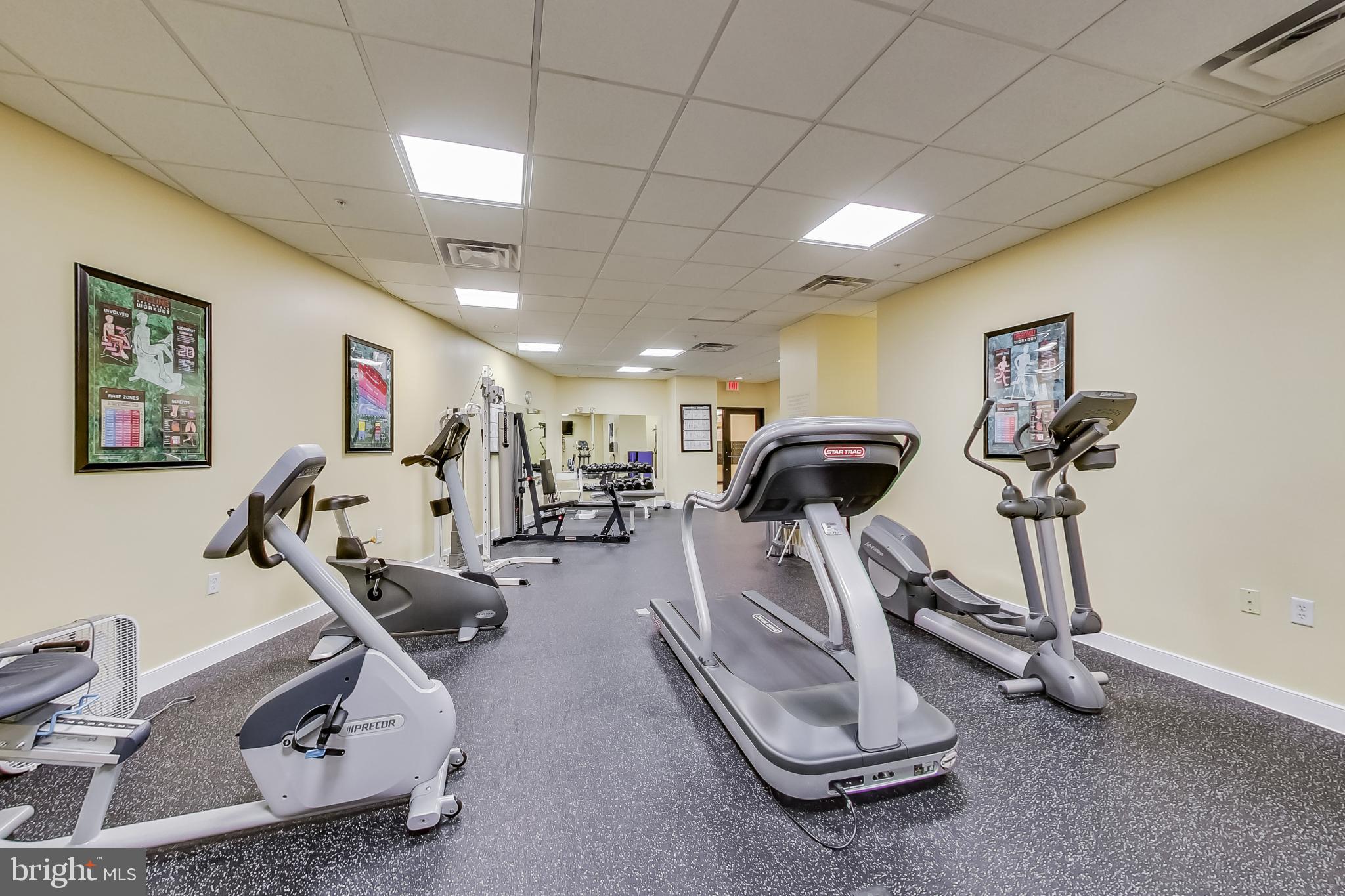 8045 Newell Street, Unit 118 Silver Spring, MD 20910 - Photo 34 of 39 Fitness Center