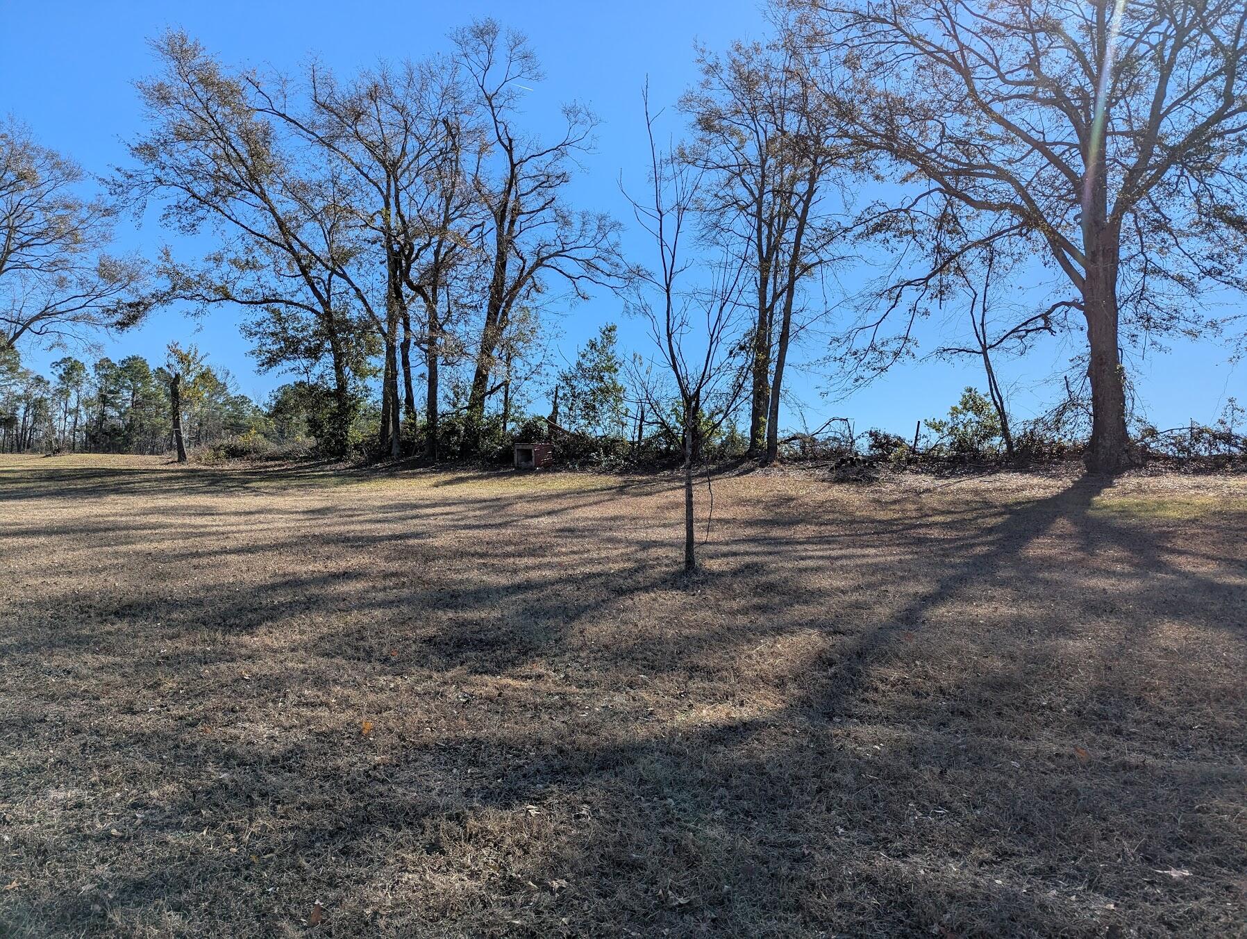 31747 Highway 23 Collins, GA 30421 - Photo 18 of 20 Acreage of Rear View