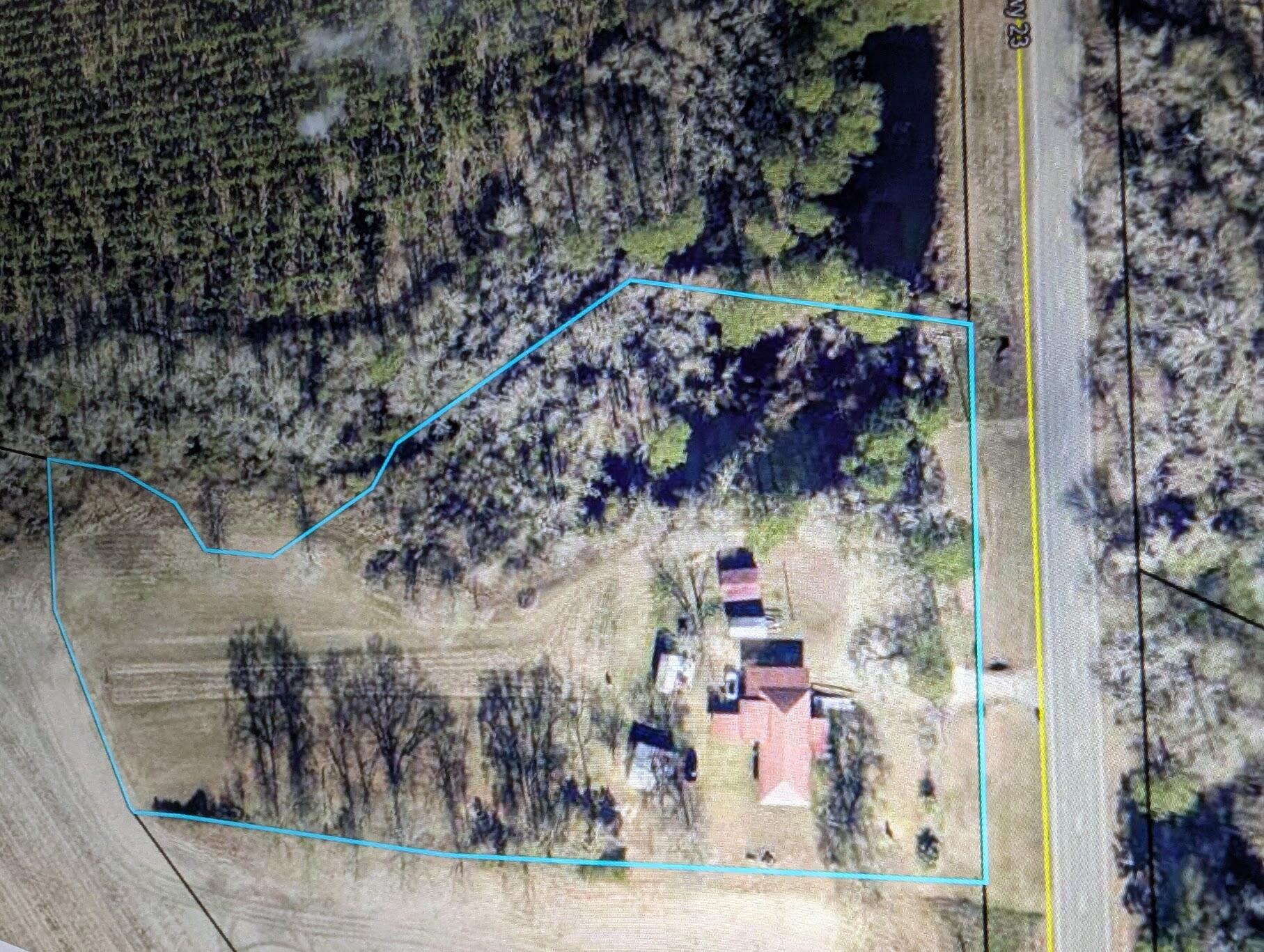 31747 Highway 23 Collins, GA 30421 - Photo 20 of 20 31747 GA HWY 23 Ariel View