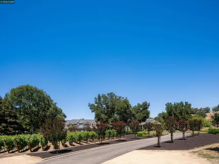 $6,698,800 | 5401 Penny Lane, Danville, CA 94506