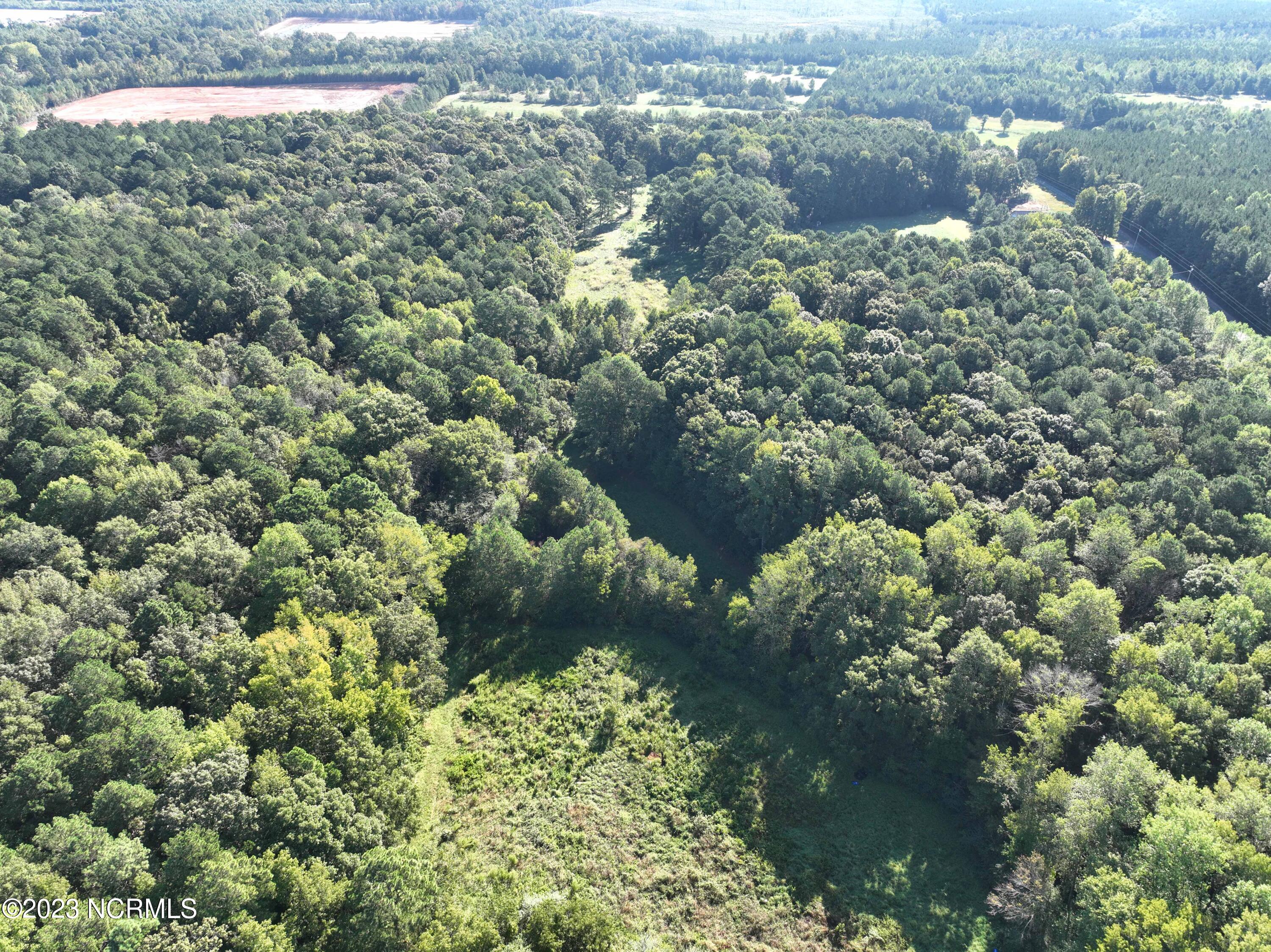 741 Mt Carmel Road Carthage, NC 28327 - Photo 54 of 60 DJI_0490