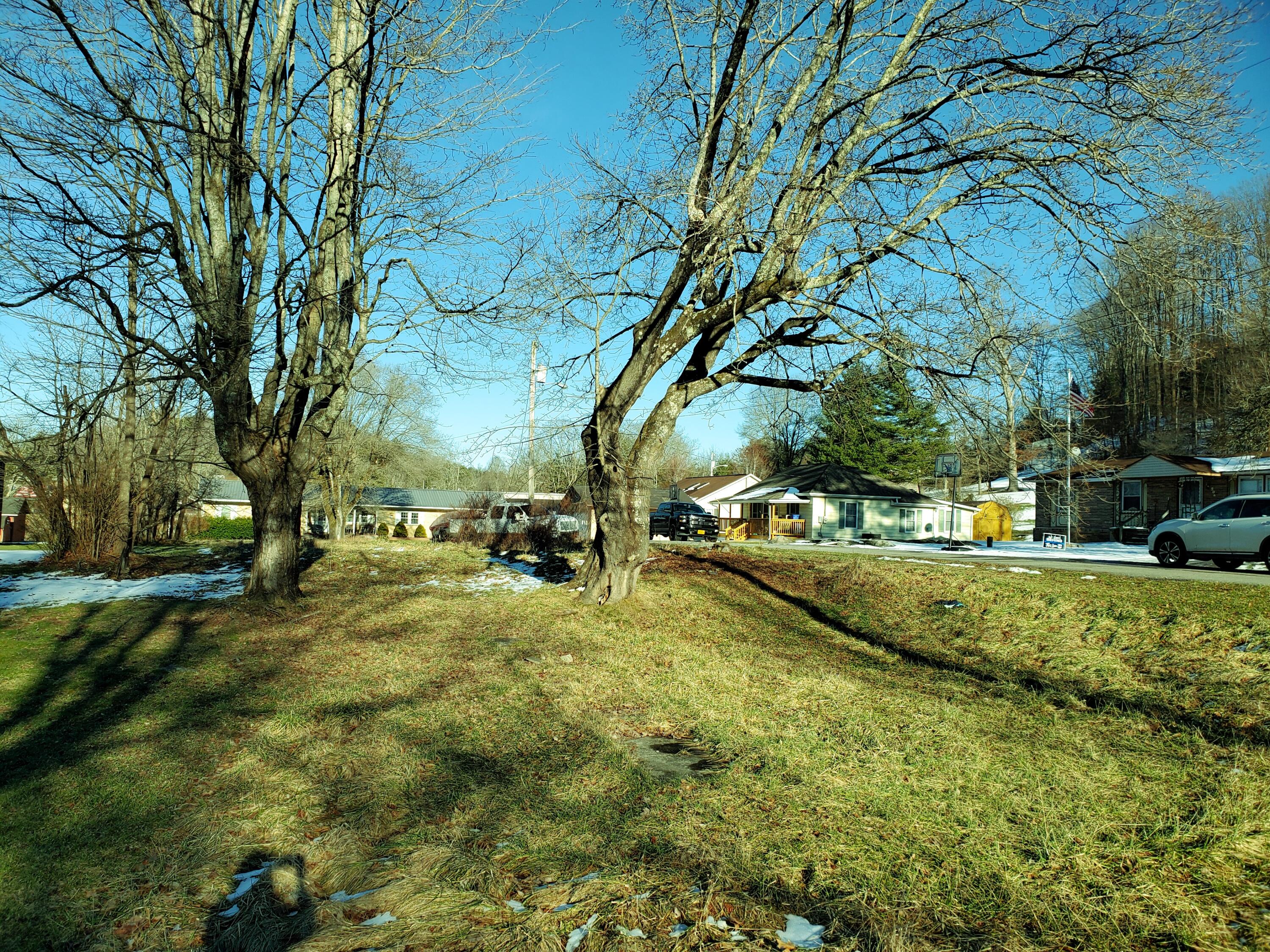 0 Coeburn Road Wise, VA 24293 - Photo 1 of 9 View from Coeburn Rd