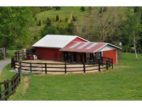 1108 Weaver Branch Road Bluff City, TN 37618 - Photo 4 of 24 Photo 4