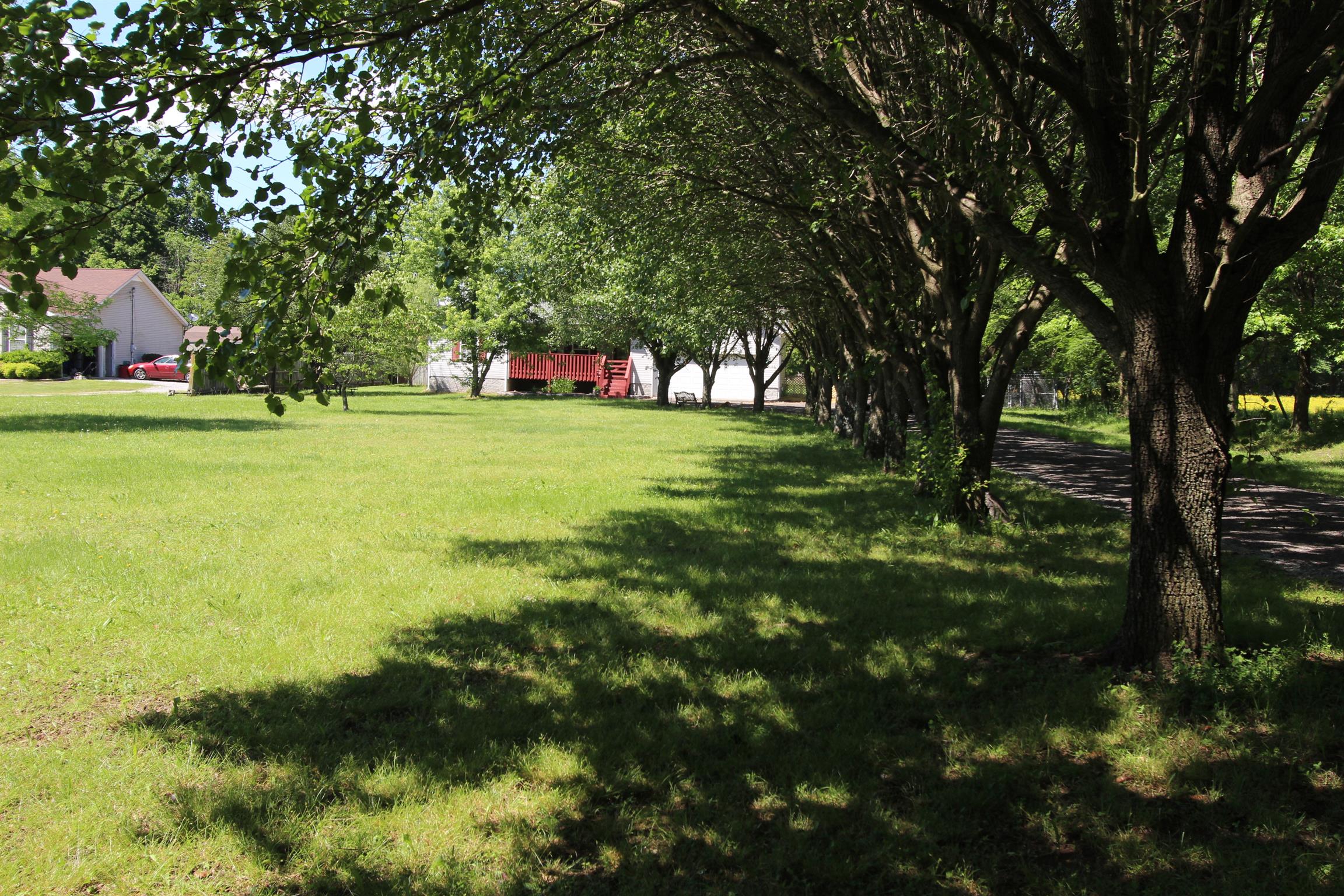 1887 Double Log Cabin Road Lebanon, TN 37087 - Photo 8 of 20 a view of a trees in a yard