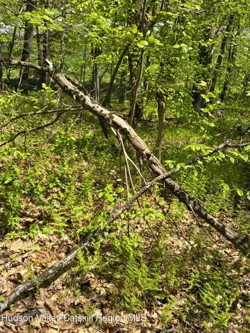 $465,000 | 0 County Rte 5, East Chatham, NY 12060