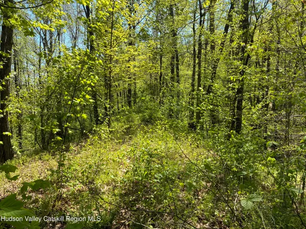 $465,000 | 0 County Rte 5, East Chatham, NY 12060