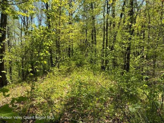 $465,000 | 0 County Rte 5, East Chatham, NY 12060