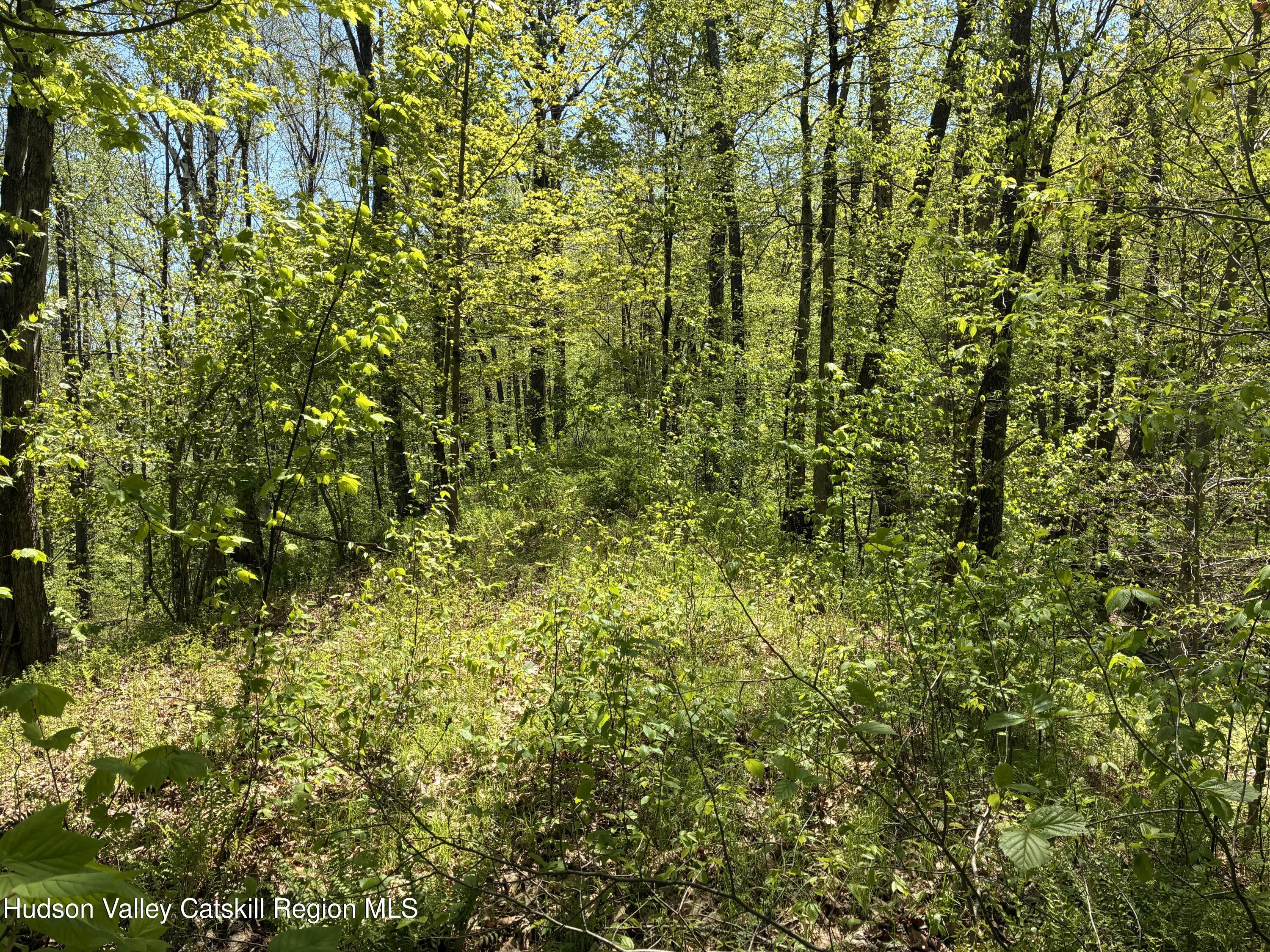 0 County Rte 5 East Chatham, NY 12060 - Photo 13 of 16 IMG_8992