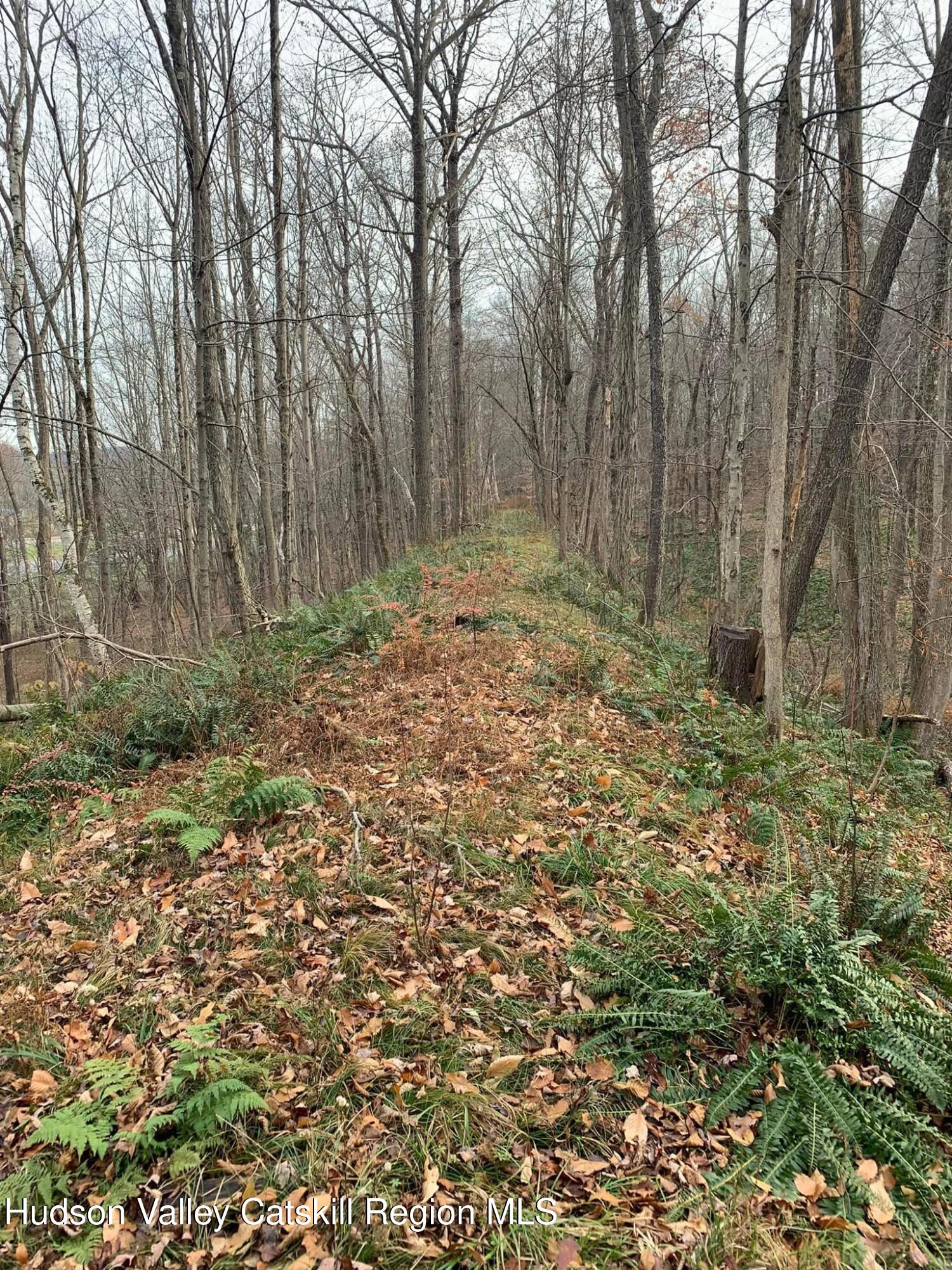 0 County Rte 5 East Chatham, NY 12060 - Photo 14 of 16 IMG_9005