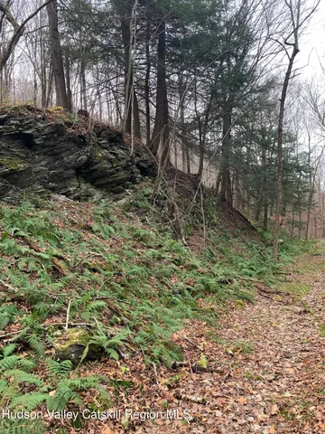 $465,000 | 0 County Rte 5, East Chatham, NY 12060