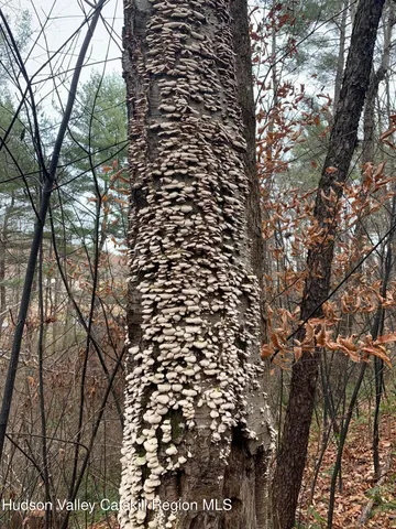 $465,000 | 0 County Rte 5, East Chatham, NY 12060