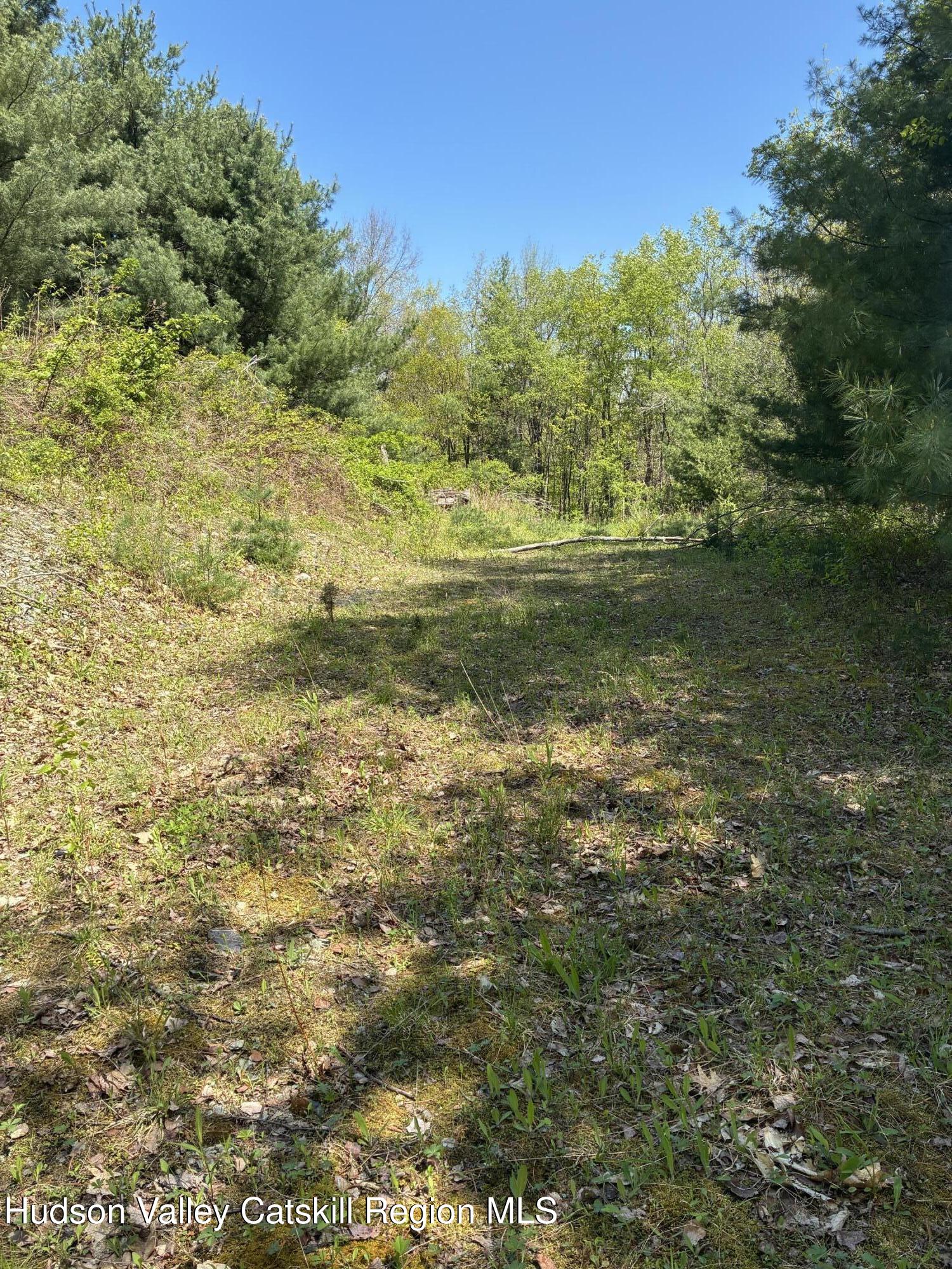 0 County Rte 5 East Chatham, NY 12060 - Photo 2 of 16 IMG_8976