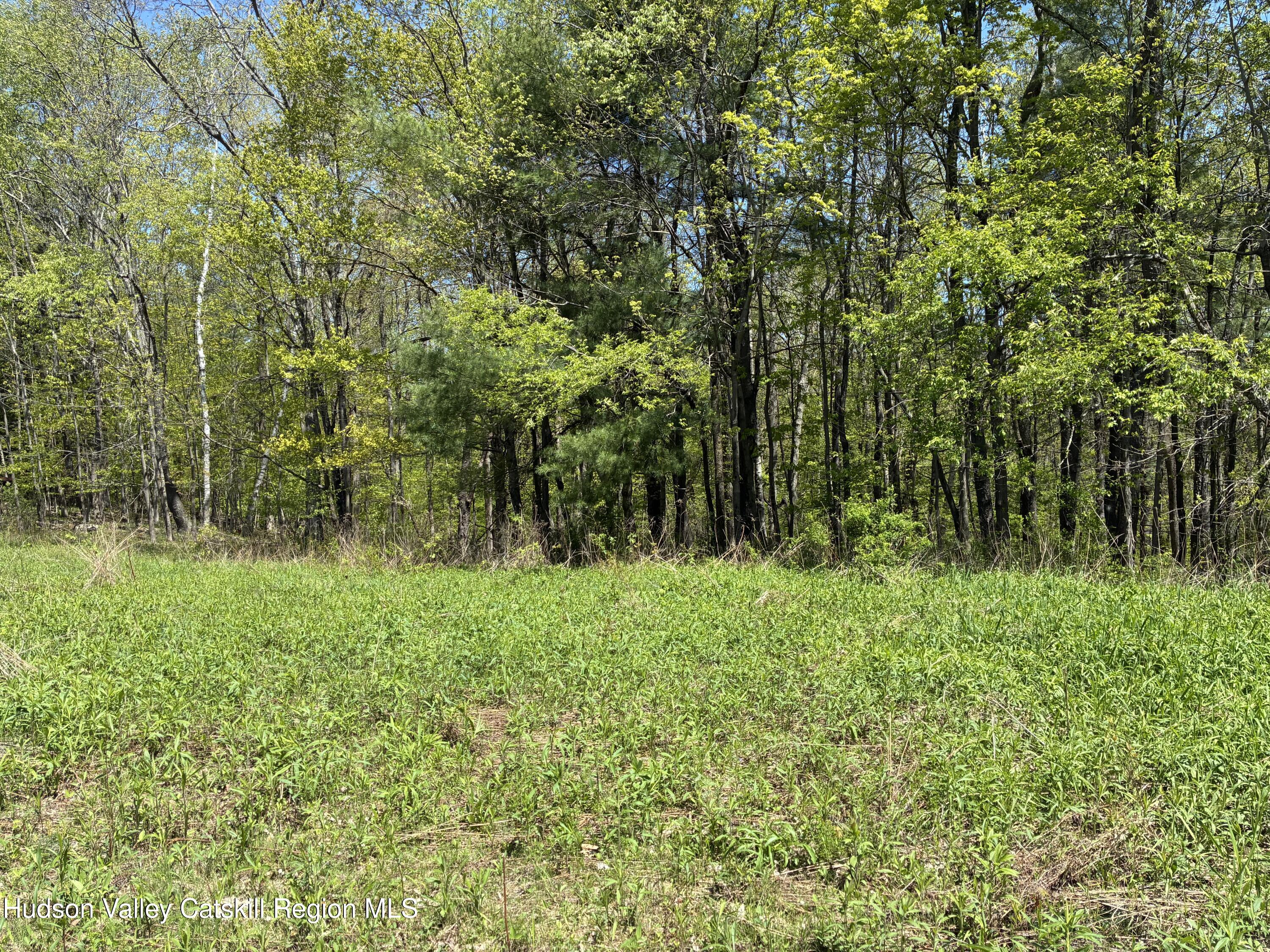 0 County Rte 5 East Chatham, NY 12060 - Photo 3 of 16 IMG_8977