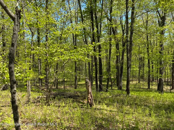 $465,000 | 0 County Rte 5, East Chatham, NY 12060