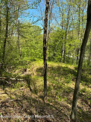 $465,000 | 0 County Rte 5, East Chatham, NY 12060