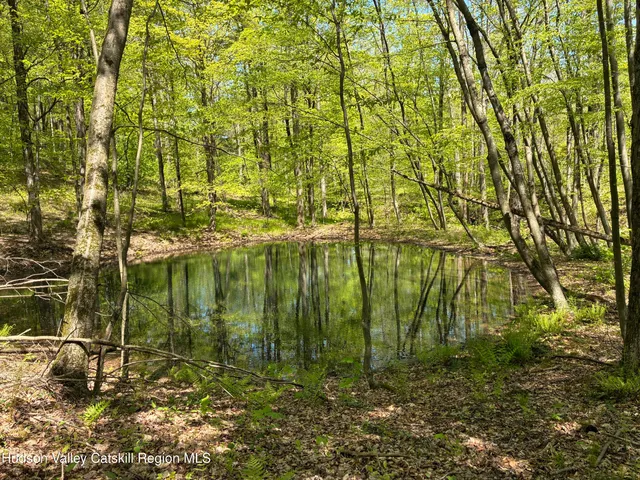 $465,000 | 0 County Rte 5, East Chatham, NY 12060