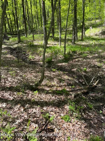 $465,000 | 0 County Rte 5, East Chatham, NY 12060