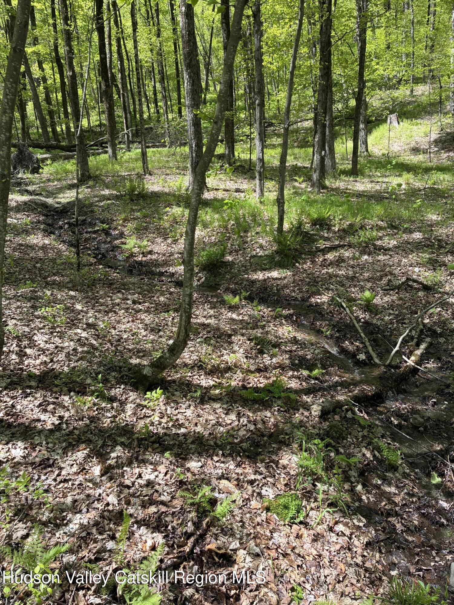 0 County Rte 5 East Chatham, NY 12060 - Photo 7 of 16 IMG_8984