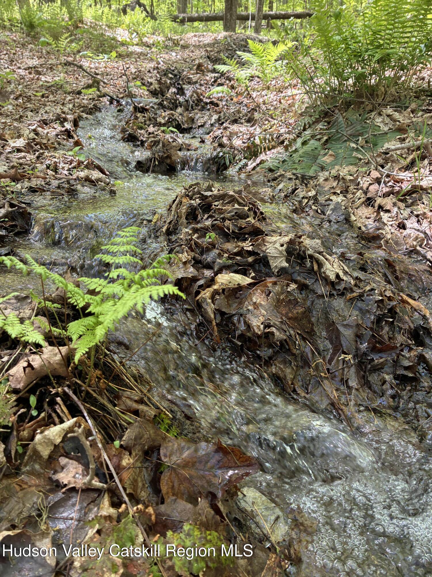 0 County Rte 5 East Chatham, NY 12060 - Photo 8 of 16 IMG_8986