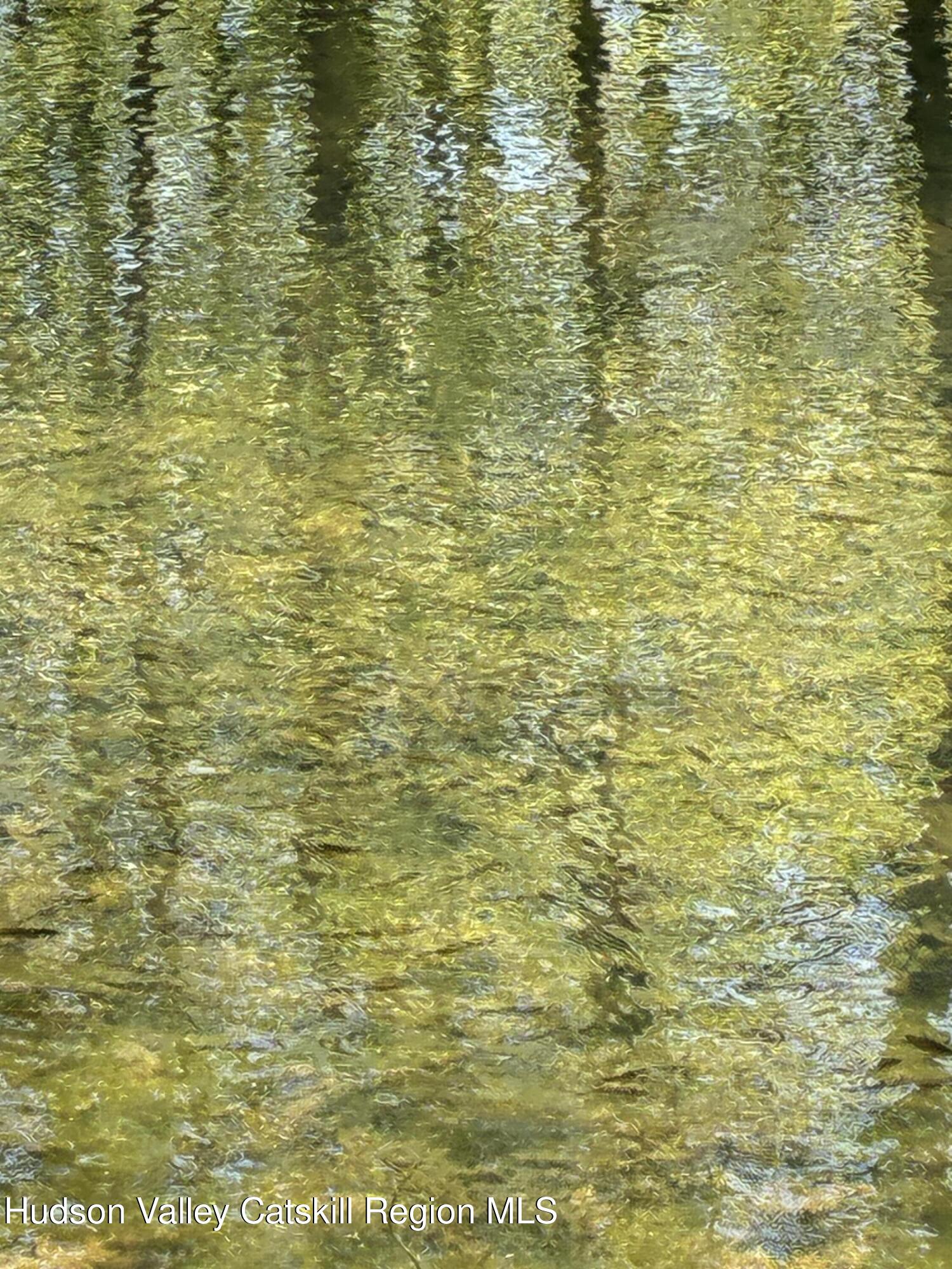 0 County Rte 5 East Chatham, NY 12060 - Photo 9 of 16 IMG_8987