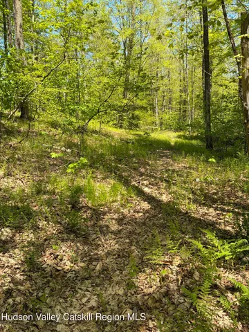 $465,000 | 0 County Rte 5, East Chatham, NY 12060