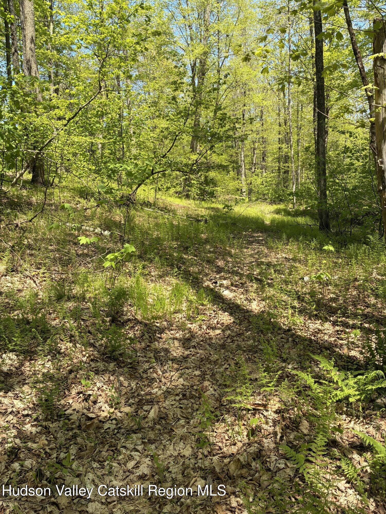 0 County Rte 5 East Chatham, NY 12060 - Photo 10 of 16 IMG_8990