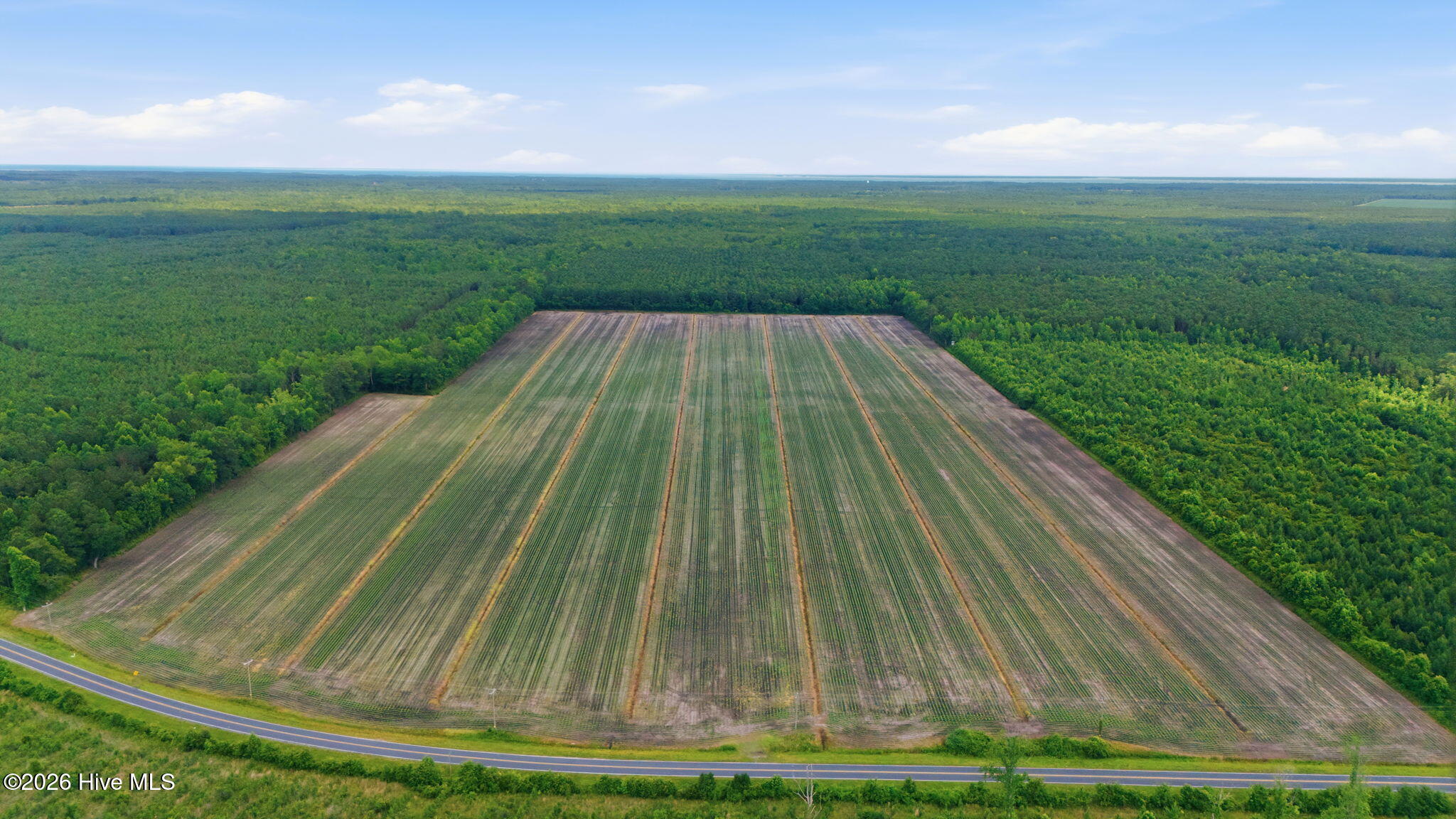 N/a Florence Road Merritt, NC 28556 - Photo 1 of 5