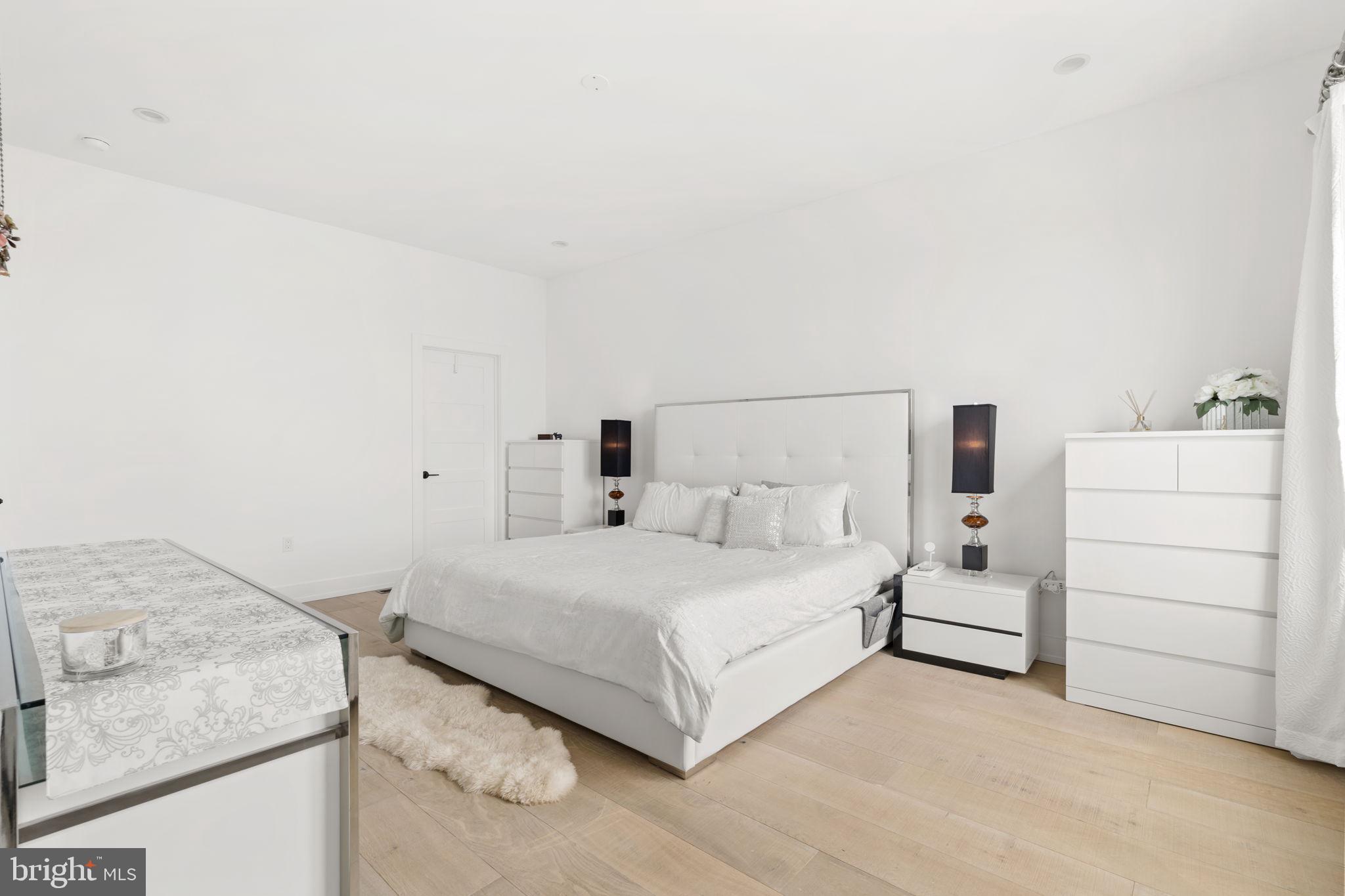 263 Hermitage Street, Unit 6 Philadelphia, PA 19127 - Photo 39 of 55 Primary bedroom with walk-in closet