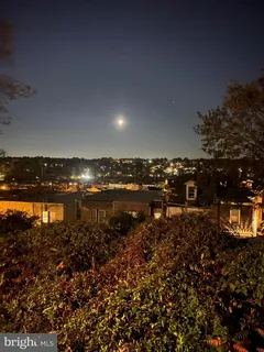a view of a garden with a bench in it