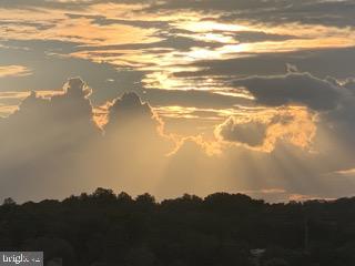 263 Hermitage Street, Unit 6 Philadelphia, PA 19127 - Photo 50 of 55