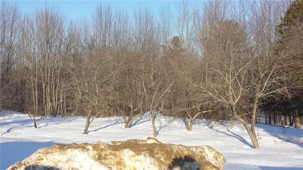 82 Bonney Road Sumner, ME 04292 - Photo 10 of 35 Small orchard of fruit trees is just...