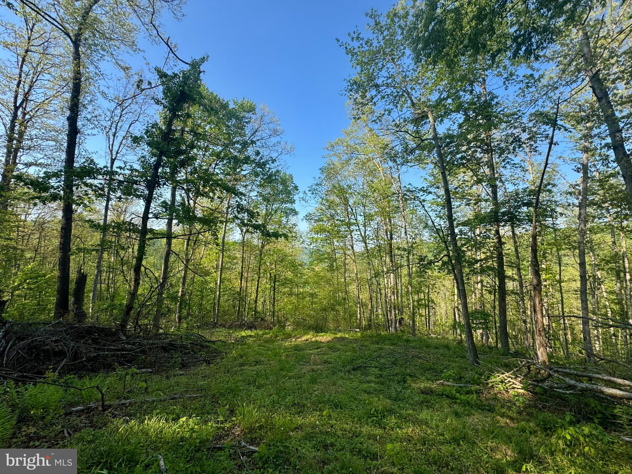 John Orr Road Independence, WV 26374 - Photo 18 of 37
