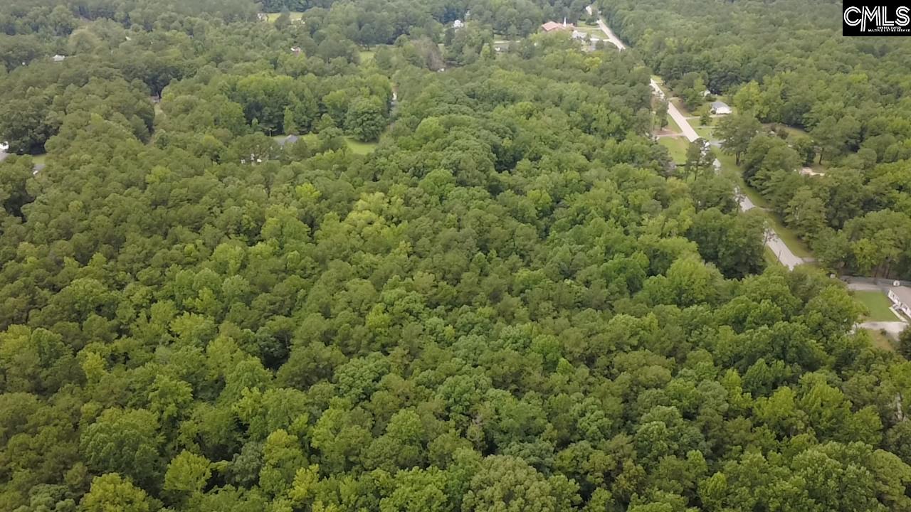Lot #8 Longleaf Court Ridgeway, SC 29130 - Photo 25 of 29 Gallery Image 25