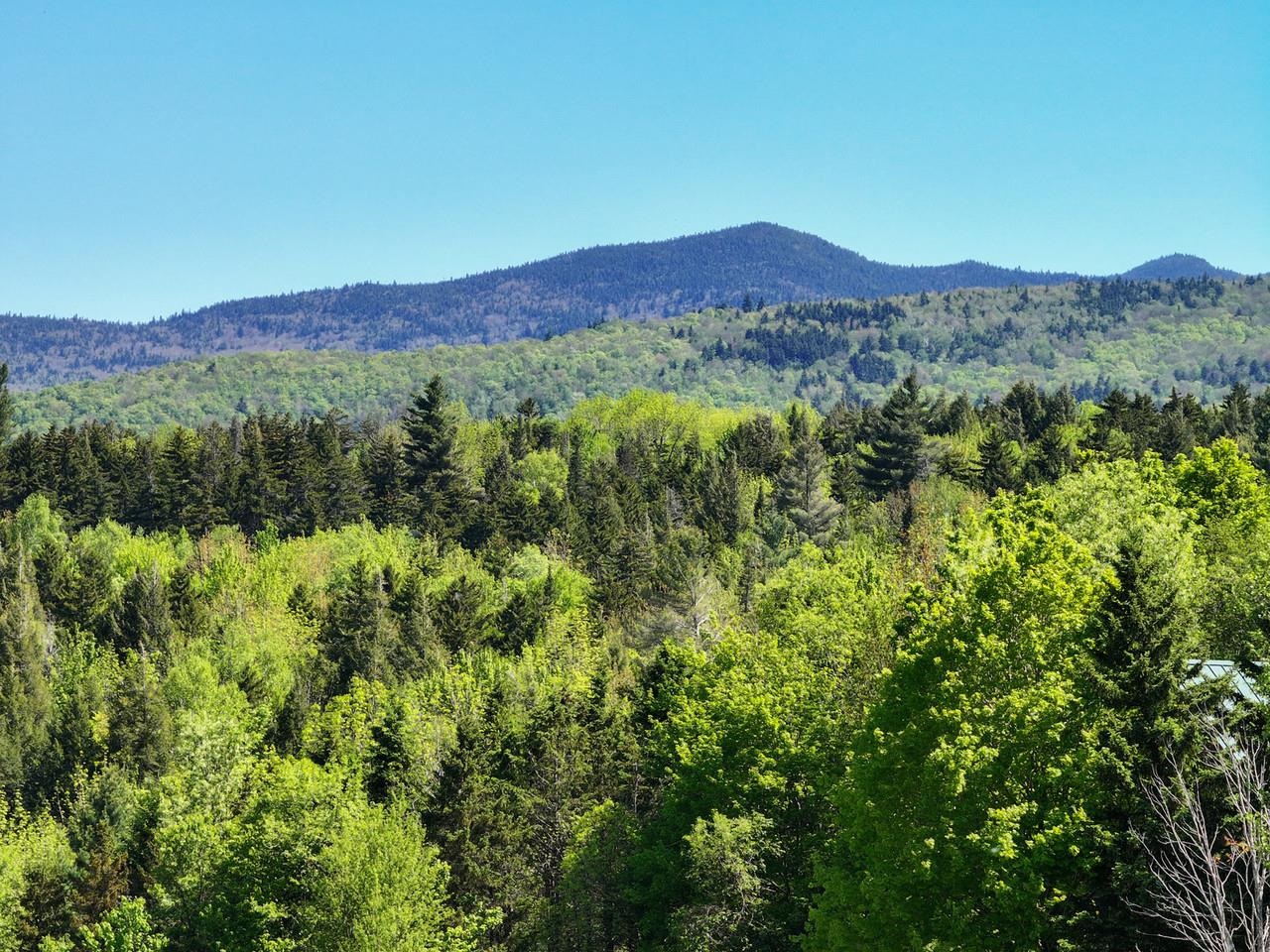 Lot 4 Weaver Road Huntington, VT 05462 - Photo 3 of 13