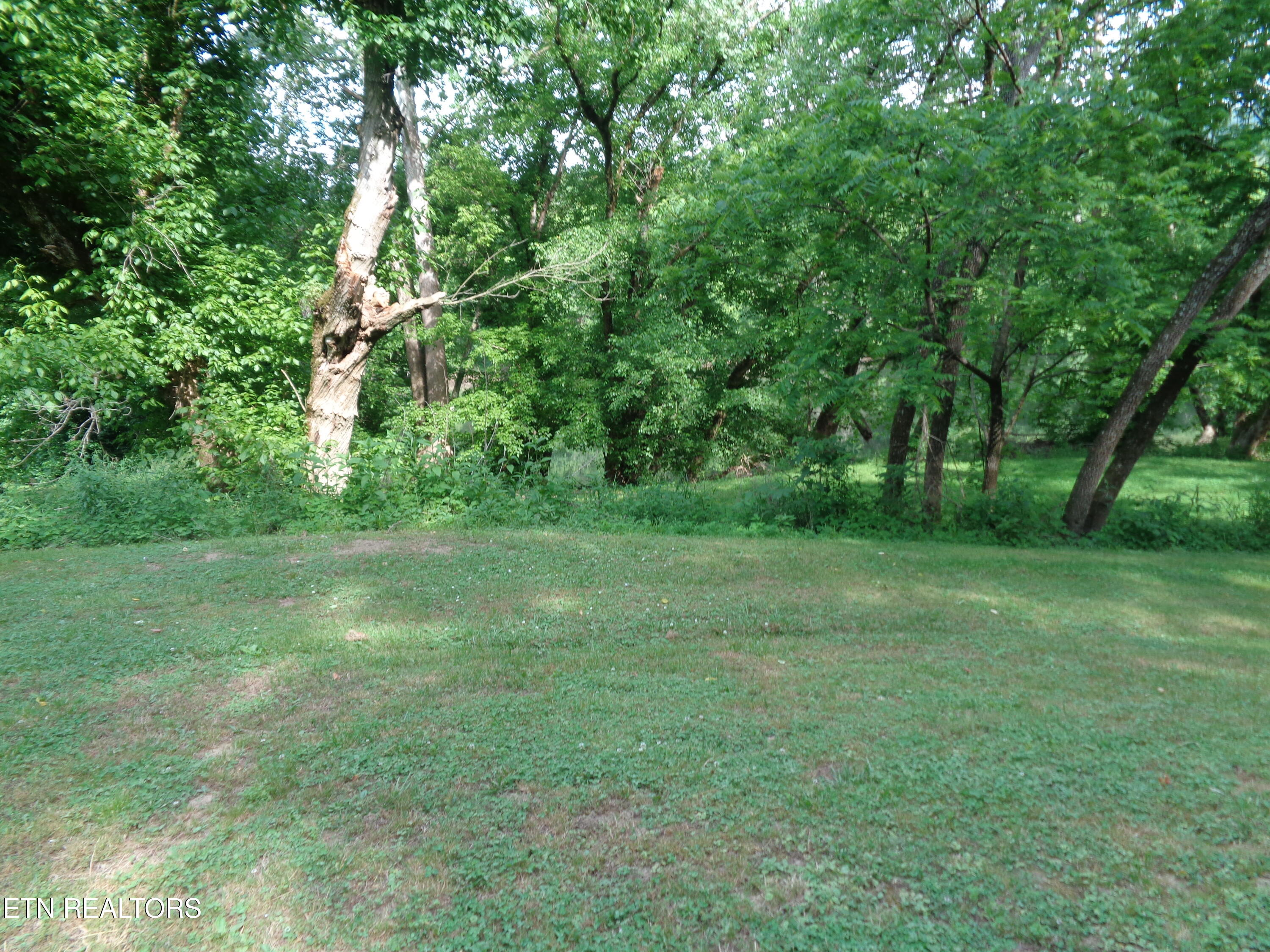0 Kyles Ford Road Kyles Ford, TN 37765 - Photo 14 of 18 DSC01100