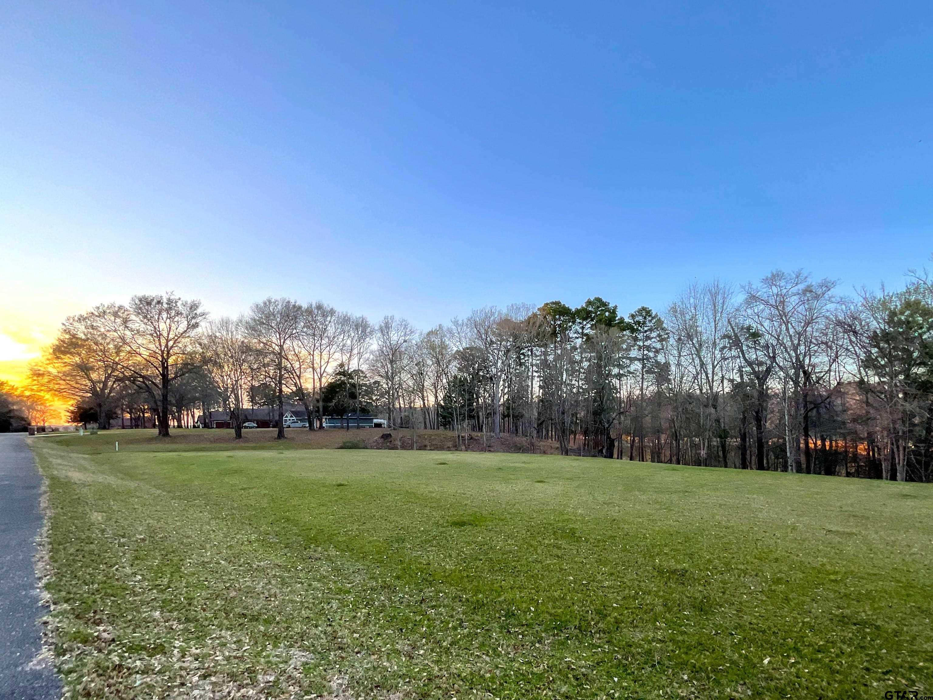 a view of a grassy field with trees in the background