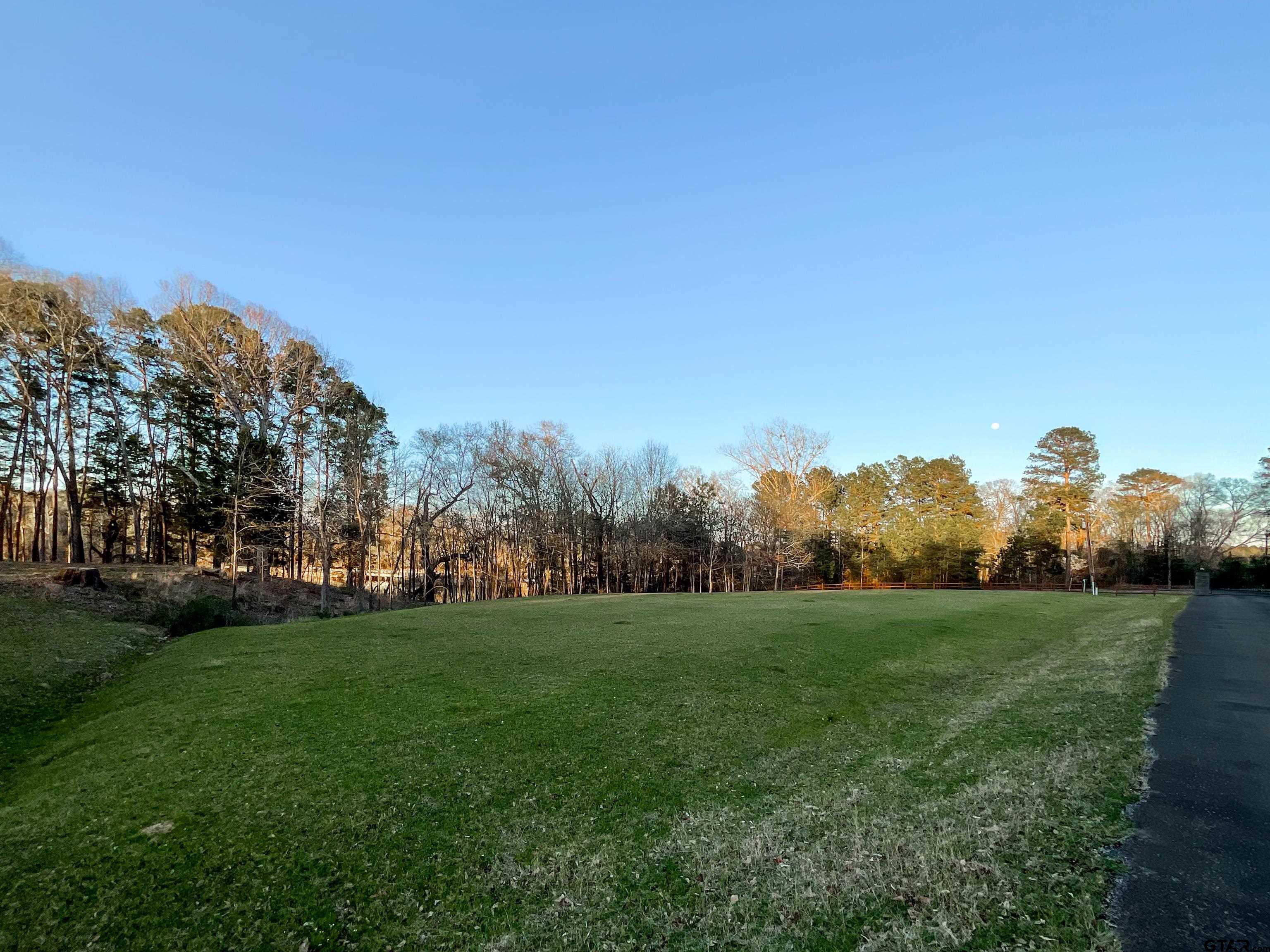 17961 Gordons Landing Road Arp, TX 75750 - Photo 11 of 19 a view of a grassy field with trees in the background