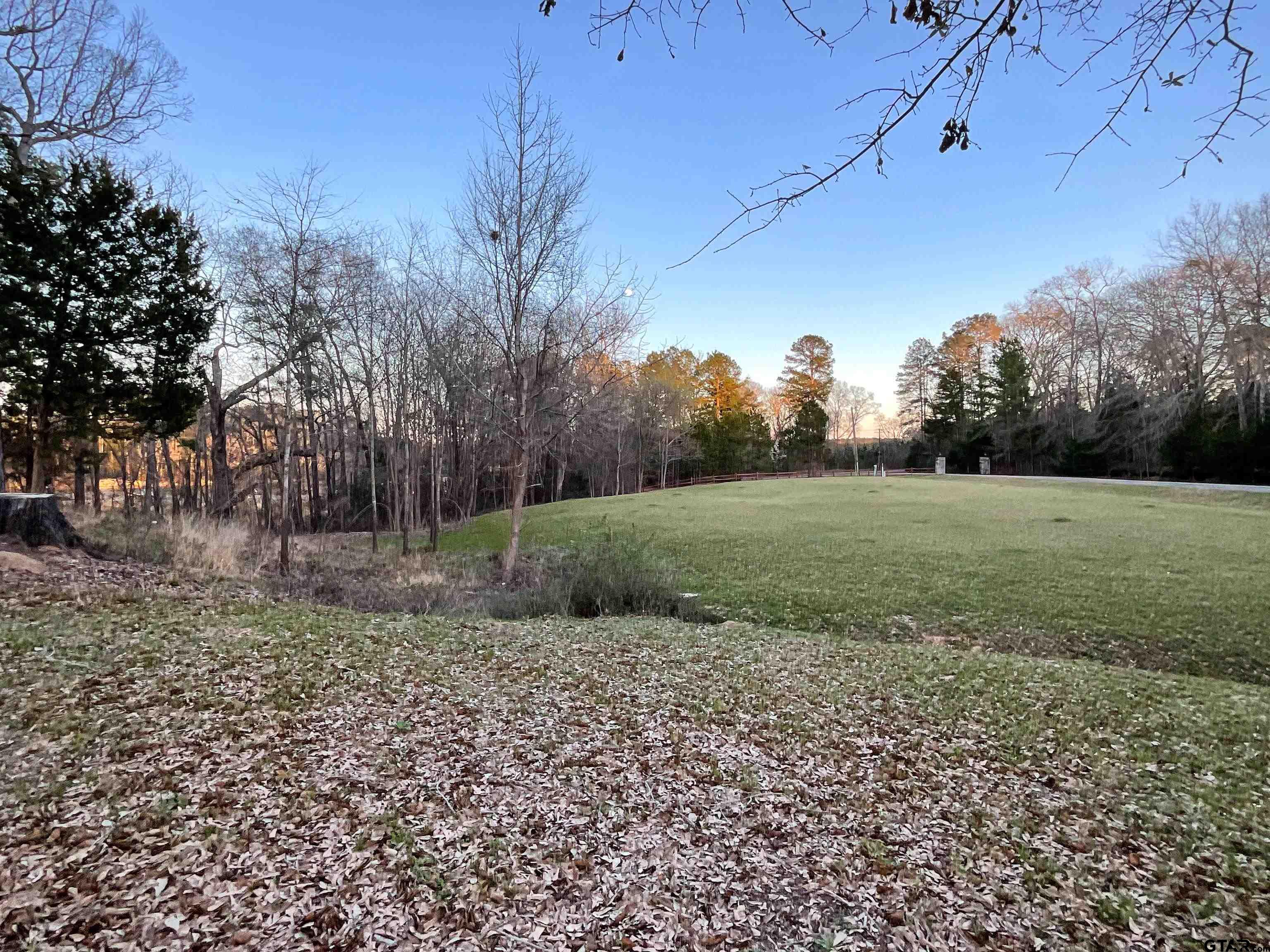 17961 Gordons Landing Road Arp, TX 75750 - Photo 12 of 19 a view of a field with large trees