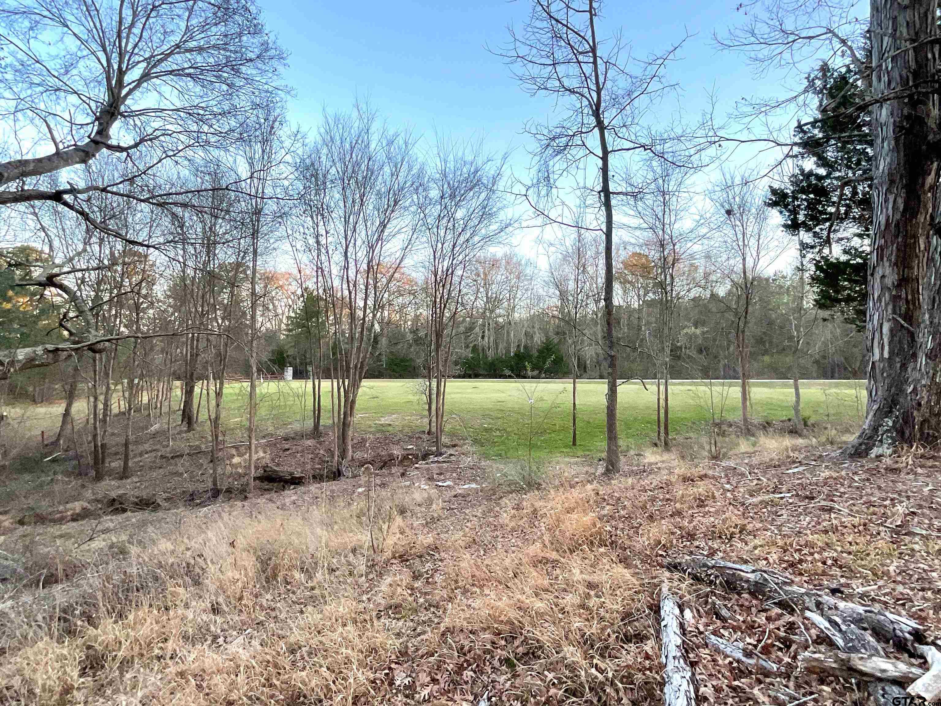 17961 Gordons Landing Road Arp, TX 75750 - Photo 13 of 19