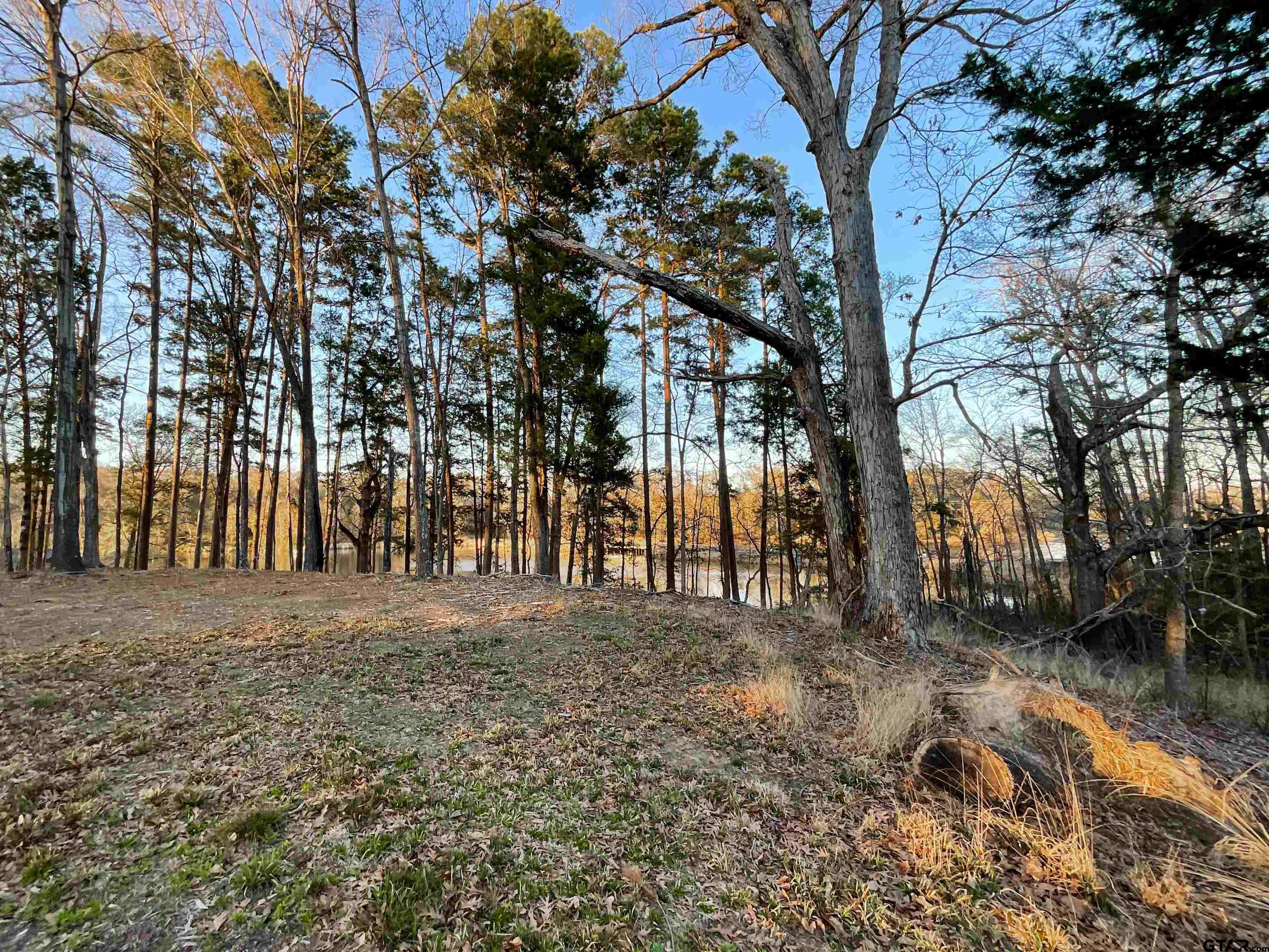 17961 Gordons Landing Road Arp, TX 75750 - Photo 14 of 19