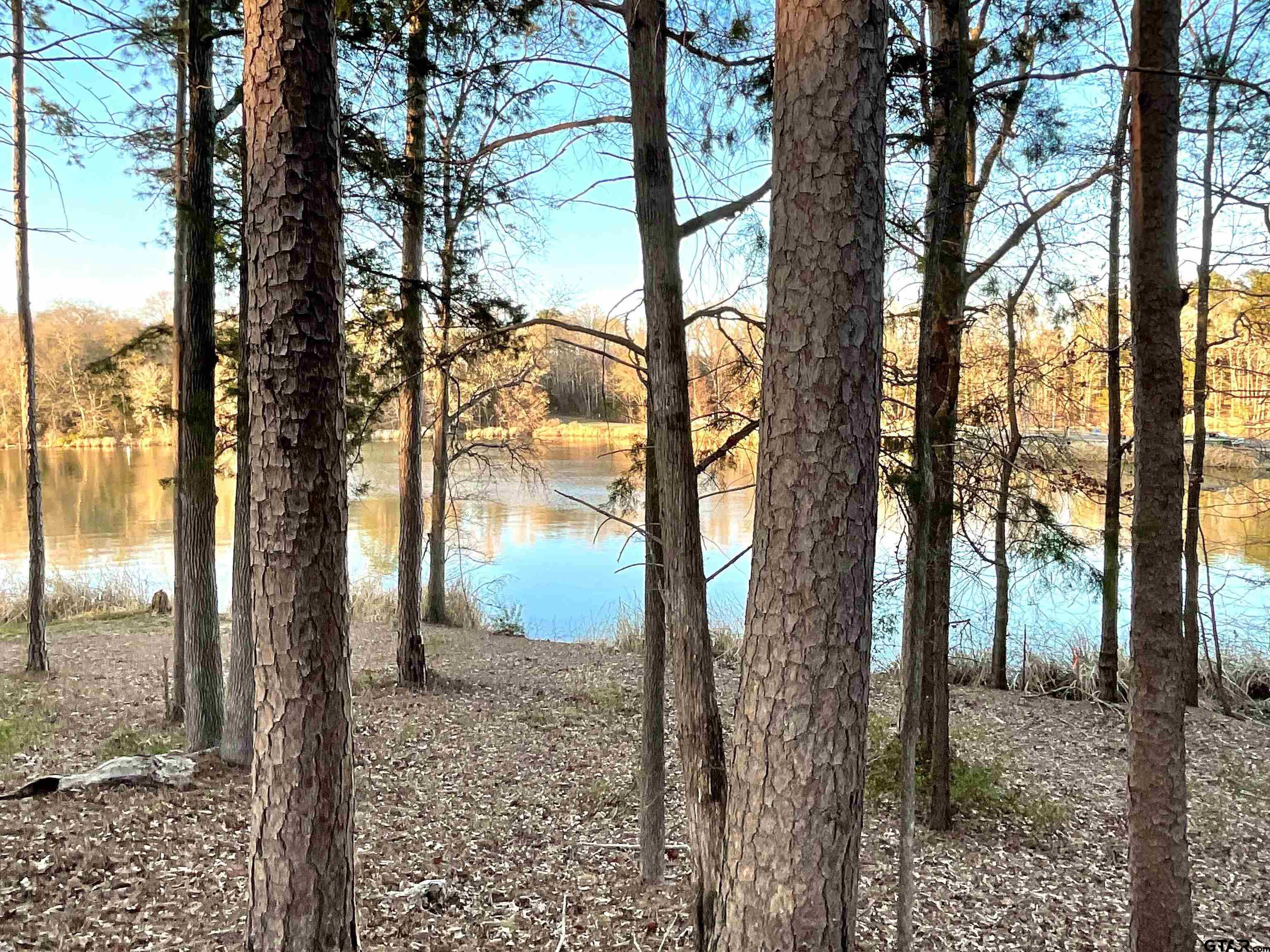 17961 Gordons Landing Road Arp, TX 75750 - Photo 15 of 19 a view of a yard with a tree