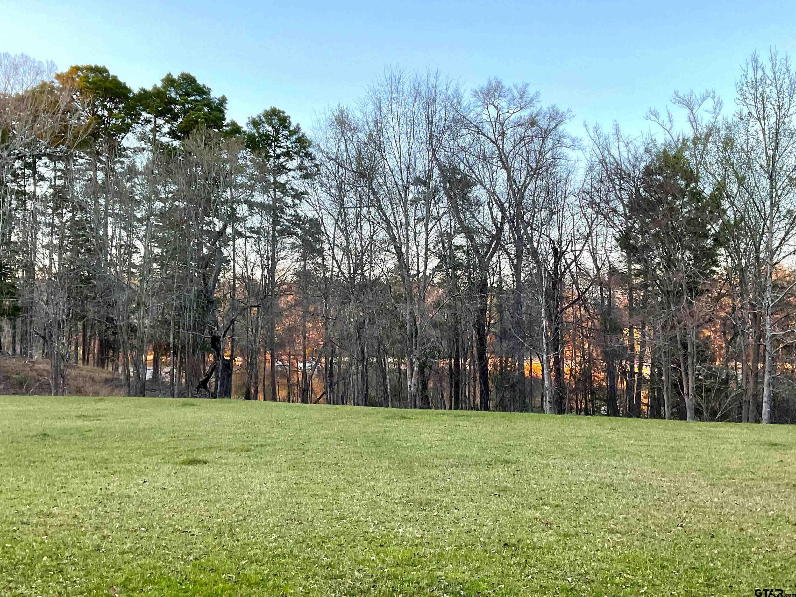 17961 Gordons Landing Road Arp, TX 75750 - Photo 2 of 19