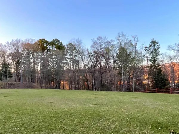 a view of a grassy field