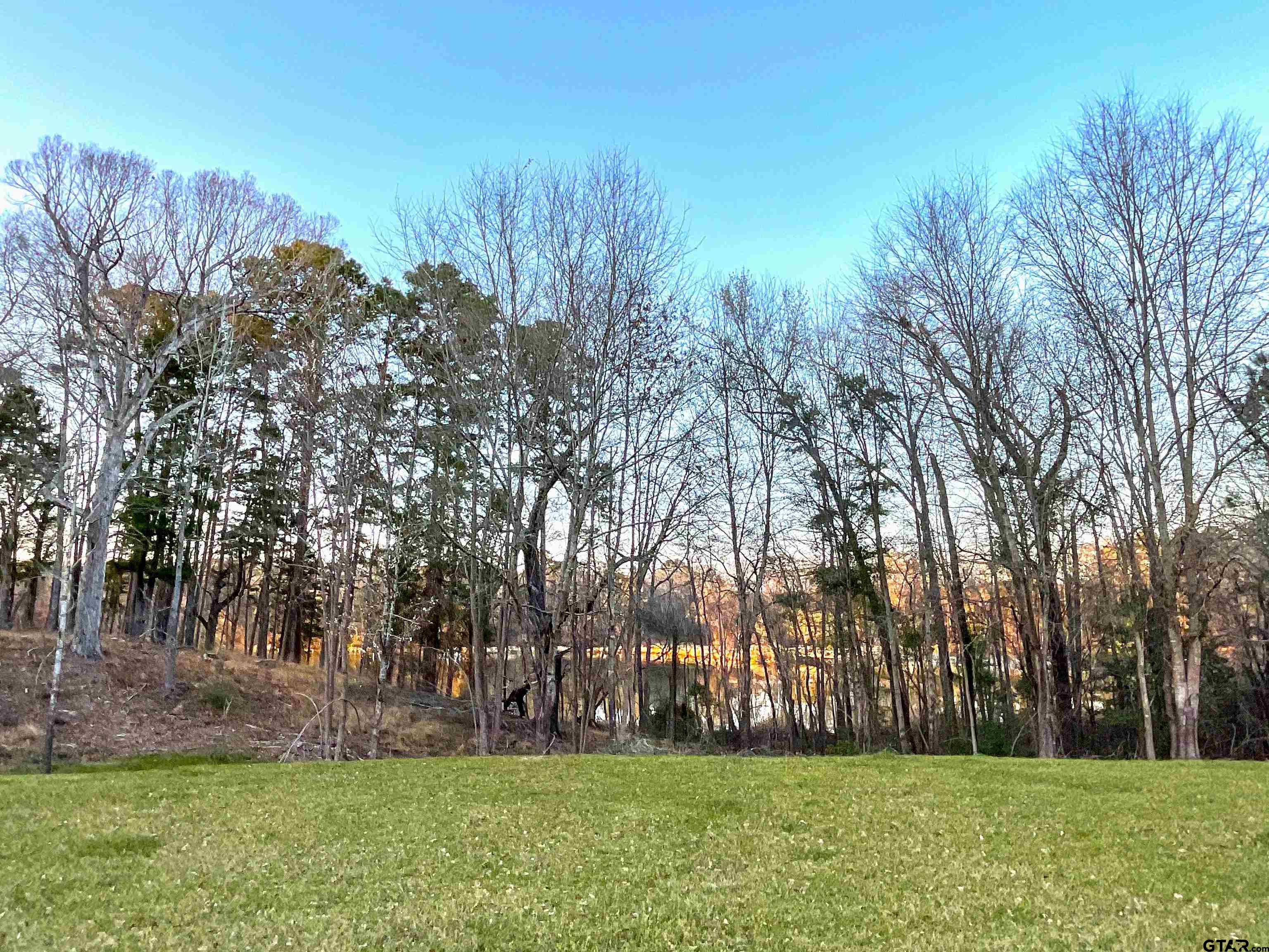 17961 Gordons Landing Road Arp, TX 75750 - Photo 5 of 19