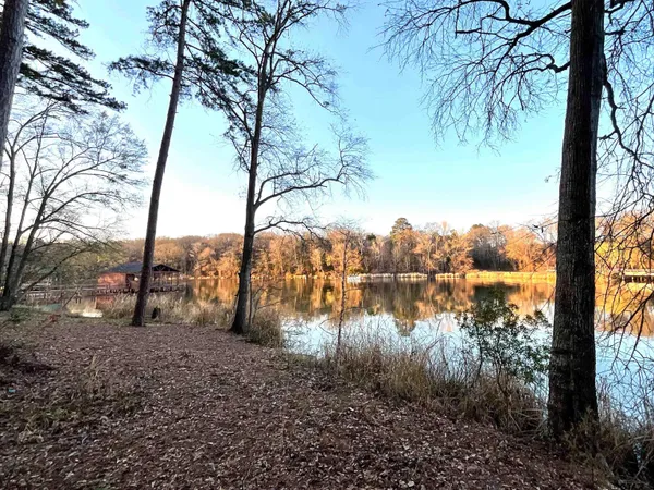 a view of a field with large trees